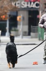 EMILY RATAJKOWSKI Takes Her Dog for a Walk in New York 01/15/2024
