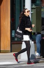 FAMKE JANSSEN Out and About in New York 01/11/2024