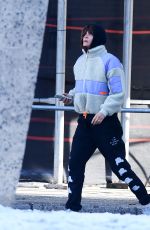HELENA CHRISTENSEN Visits Picasso Sculpture Bust of Sylvette in New York 01/17/2024