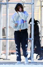 HELENA CHRISTENSEN Visits Picasso Sculpture Bust of Sylvette in New York 01/17/2024