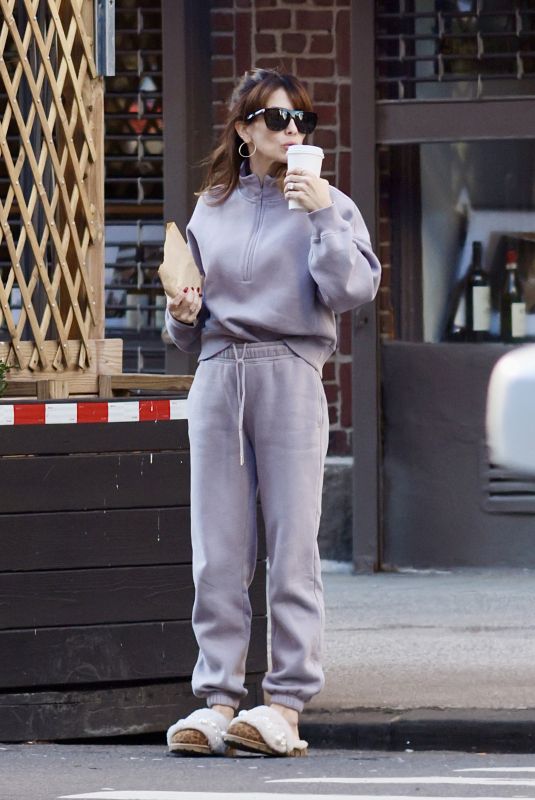 HILARIA BALDWIN Out for Coffee in New York 01/02/2024