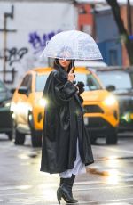 IRINA SHAYK Walking Under the Rain in Manhattan 01/26/2024