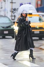 IRINA SHAYK Walking Under the Rain in Manhattan 01/26/2024
