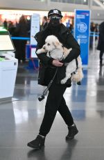 JAMIE LEE CURTIS and Her Service Dog Runi Arrives at JFK Airport in New York 01/15/2024