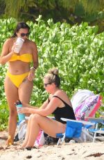 JODI ALBERT in a Yelloe Bikini at a Beach in Barbados 01/08/2024
