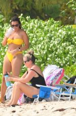 JODI ALBERT in a Yelloe Bikini at a Beach in Barbados 01/08/2024