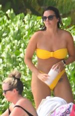 JODI ALBERT in a Yelloe Bikini at a Beach in Barbados 01/08/2024