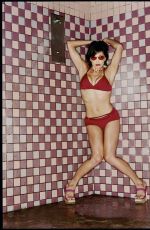 KRISTA ALLEN for Stuff Magazine, November 2000