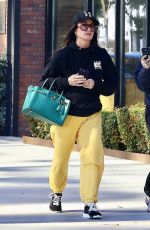 KYLE RICHARDS Out After Lunch in Los Angeles 01/07/2024