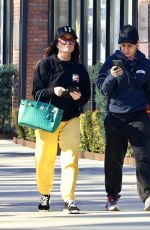KYLE RICHARDS Out After Lunch in Los Angeles 01/07/2024