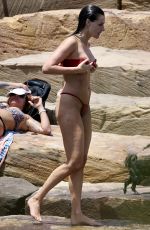 LAURA DUNDOVIC in Bikini at a Sydney Swimming Hole 01/02/2024