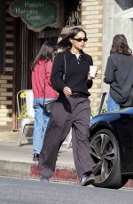 LAURA HARRIER Out for Coffee in Los Feliz 01/16/2024