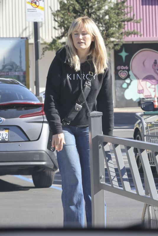 MALIN AKERMAN Out Shopping at Lazy Acres in Los Feliz 01/09/2024
