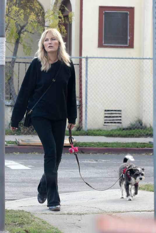 MALIN AKERMAN Out with Her Dog in Los Angeles 01/20/2024