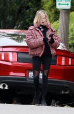 MELANIE GRIFFITH Out for Morning Walk in Beverly Hills 01/09/2024