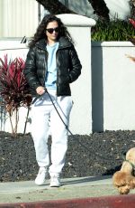 MOLLY HURWITZ Out with Her Dog in Los Angeles 01/15/2024
