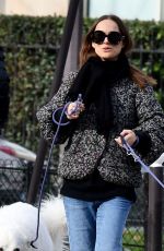 NATALIE PORTMAN Out with Her Dogs on Champ-de-Mars Gardens in Paris 01/27/2024