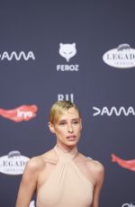 OLIVIA BAGLIVI at 11th Annual Feroz Awards Photocall in Madrid 01/26/2024