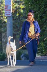 REGINA KING Out with Her Dog in Los Feliz 01/13/2024