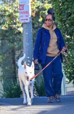REGINA KING Out with Her Dog in Los Feliz 01/13/2024