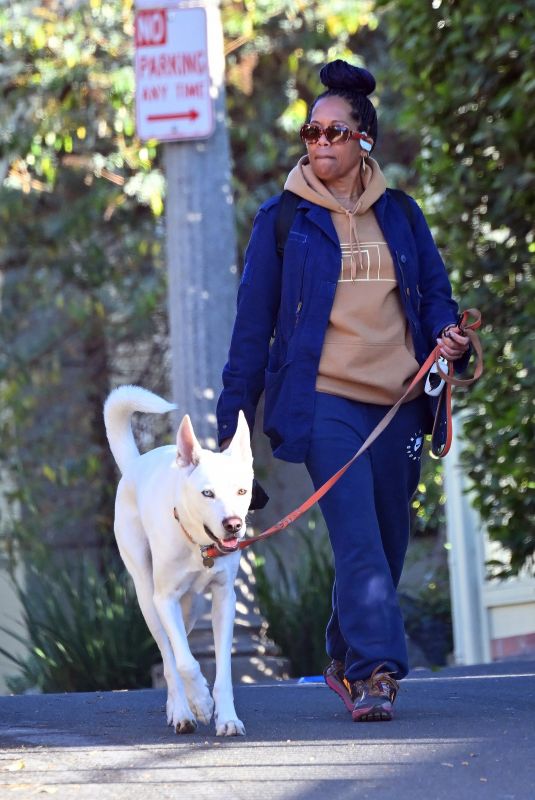 REGINA KING Out with Her Dog in Los Feliz 01/13/2024