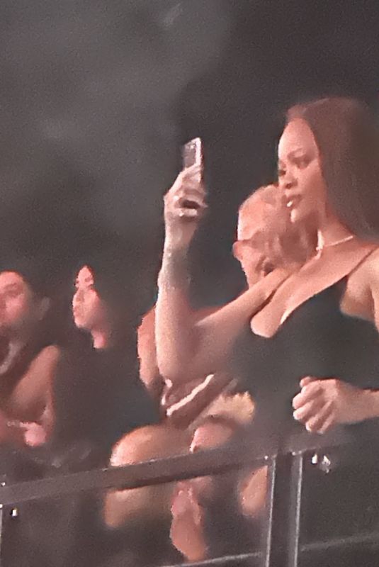 RIHANNA at Yellow Pieces Concert in Paris 01/26/2024