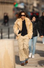RITA ORA Arrives at a Restaurant in Paris 01/21/2024