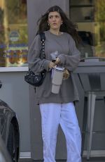 SAMI SHEEN Leaves a Sushi Restaurant with Friend in Malibu 01/08/2024