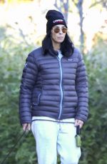 SARAH SILVERMAN and Rory Albanese Out with Their Dogs in Los Angeles 01/13/2024