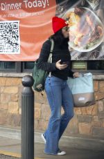 SARAH SILVERMAN and Rory Albanese Shopping at Gelson