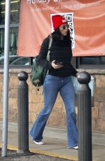 SARAH SILVERMAN and Rory Albanese Shopping at Gelson