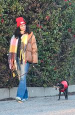 SARAH SILVERMAN and Rory Albanese Take Their Dogs for a Walk in Los Angeles 01/05/2024