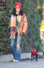 SARAH SILVERMAN and Rory Albanese Take Their Dogs for a Walk in Los Angeles 01/05/2024