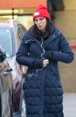 SARAH SILVERMAN Shopping at Gelson