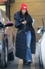 SARAH SILVERMAN Shopping at Gelson