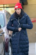 SARAH SILVERMAN Shopping at Gelson