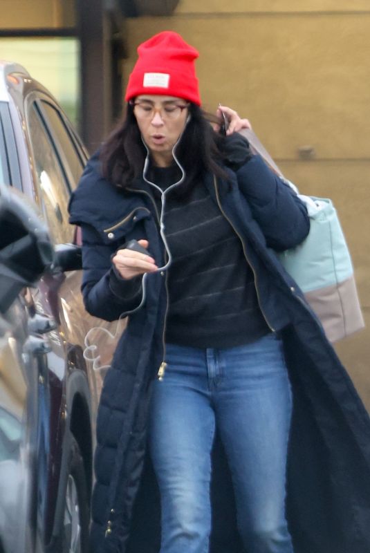 SARAH SILVERMAN Shopping at Gelson