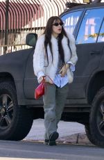 SCOUT WILLIS Out and About in Los Feliz 01/09/2024