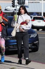 SCOUT WILLIS Out for Morning Smoothies with a Gal Pal and Her Dog 01/07/2024