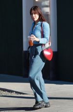 SCOUT WILLIS Out with Her Dog in Los Angeles 01/12/2024