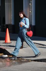 SCOUT WILLIS Out with Her Dog in Los Angeles 01/12/2024