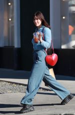 SCOUT WILLIS Out with Her Dog in Los Angeles 01/12/2024