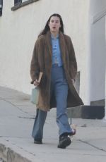 SCOUT WILLIS Out with Her Dog in Los Angeles 01/12/2024