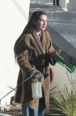 SCOUT WILLIS Out with Her Dog in Los Angeles 01/12/2024