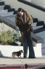 SCOUT WILLIS Out with Her Dog in Los Angeles 01/12/2024