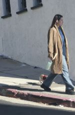 SCOUT WILLIS Out with Her Dog in Los Angeles 01/12/2024