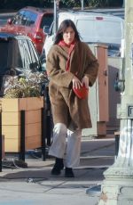 SCOUT WILLIS Visits a Friend in Los Angeles 01/16/2024