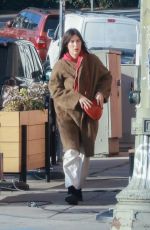 SCOUT WILLIS Visits a Friend in Los Angeles 01/16/2024