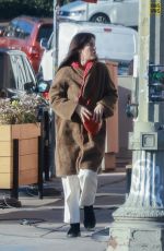 SCOUT WILLIS Visits a Friend in Los Angeles 01/16/2024
