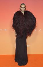 ALICIA AYLIES at Dune: Part Two Premiere at Le Grand Rex in Paris 02/12/2024